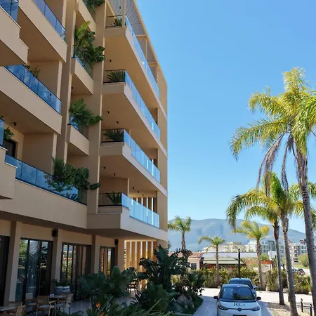 Palm Vlorë